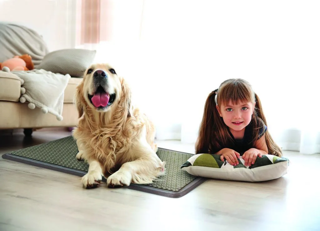 PEMF Therapy For Dogs: Enhance Your Pet's Health